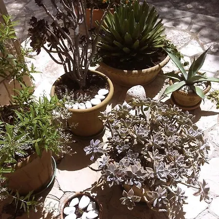 Fuoridalgusciohome Santa Maria di Leuca