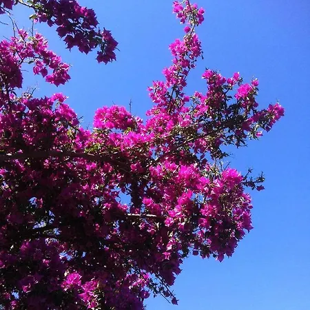 Fuoridalgusciohome Santa Maria di Leuca