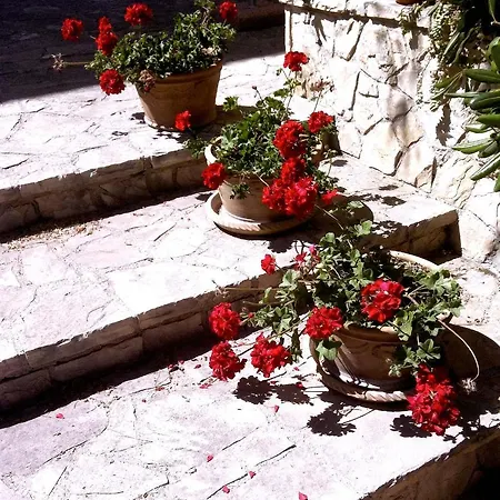 Bed and breakfast Fuoridalgusciohome Santa Maria di Leuca