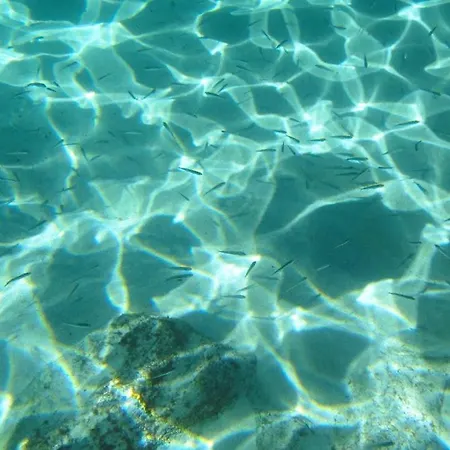 Fuoridalgusciohome 3*