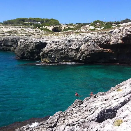 Fuoridalgusciohome 3*