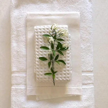 Fuoridalgusciohome Bed and breakfast Santa Maria di Leuca