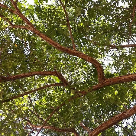 Fuoridalgusciohome Santa Maria di Leuca