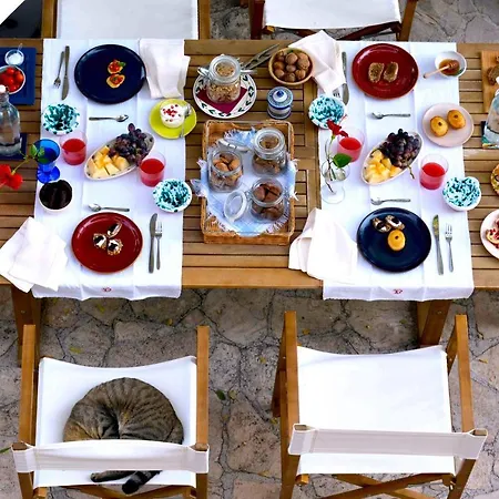 Fuoridalgusciohome Bed and breakfast